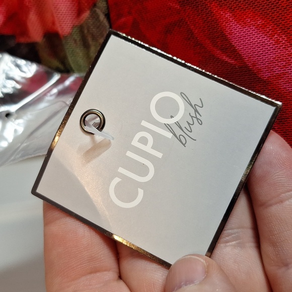 Cupio Blush Sleeveless Black with Red Roses Bodycon Dress - Picture 5 of 13